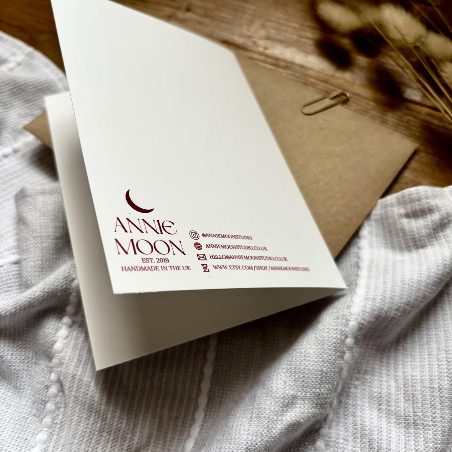 New Twin Baby Card with Nest and Egg Design