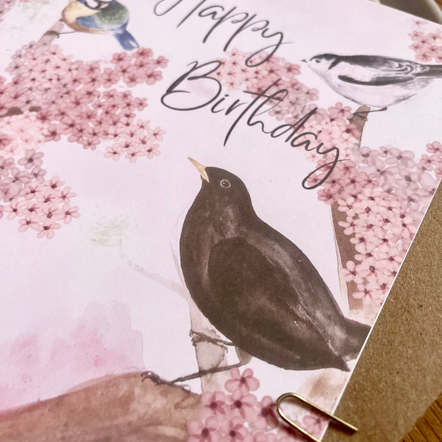 Birthday Card - Garden Birds